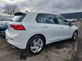 Volkswagen Golf VIII GTE eHybrid 1.4 IQ.Light Kamera HeadUp Biały - thumbnail 30