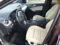Mercedes-Benz B 180 B 180 Score (246.242) Braun - thumbnail 16