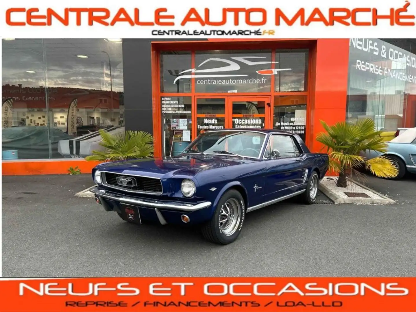 Ford Mustang COUPE 289CI V8 1966 BLEU Bleu - 1