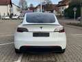Tesla Model Y *Autopilot * PANO* ACC *360 CAM Bianco - thumbnail 6