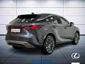Lexus RX 350 h 2.5 premium hybrid Executive e-cvt Gris - thumbnail 6