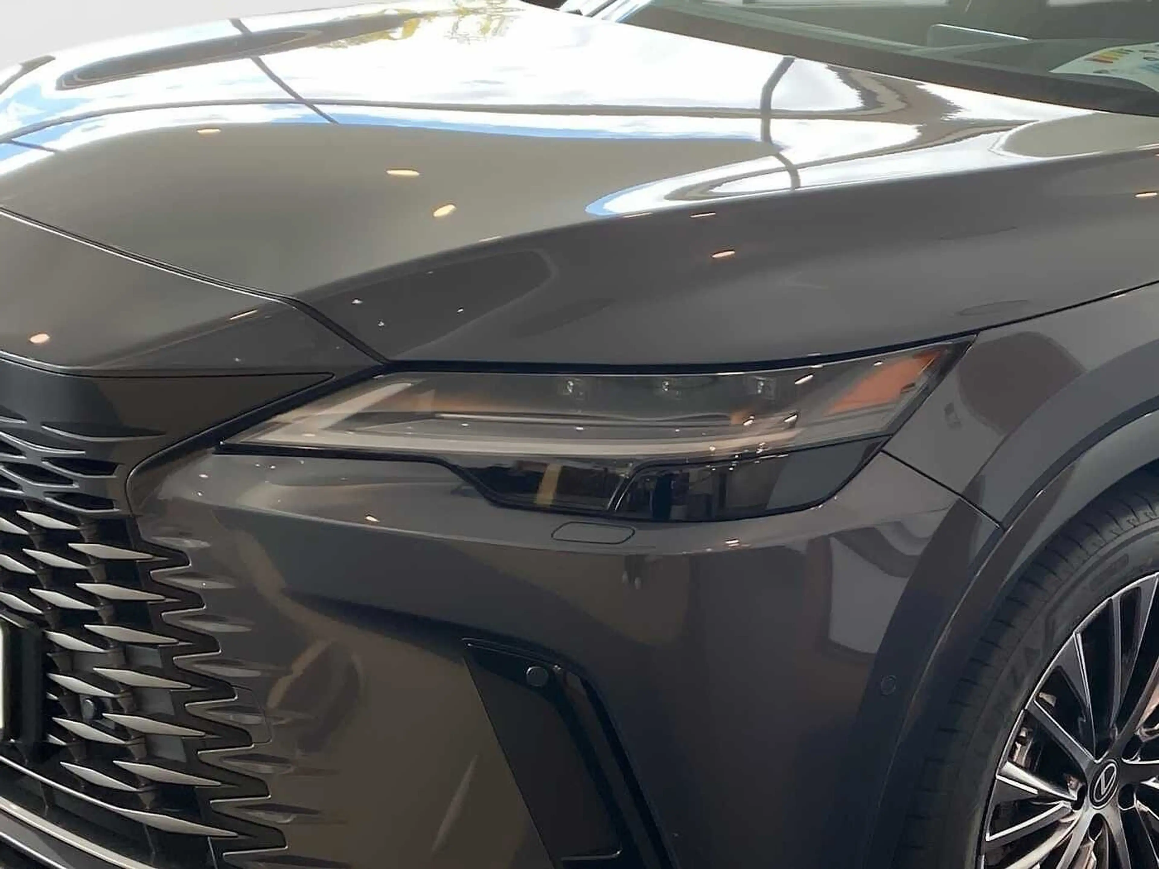 Lexus RX 450h + 2.5 Plug-In Luxury ML Pano — photo 14