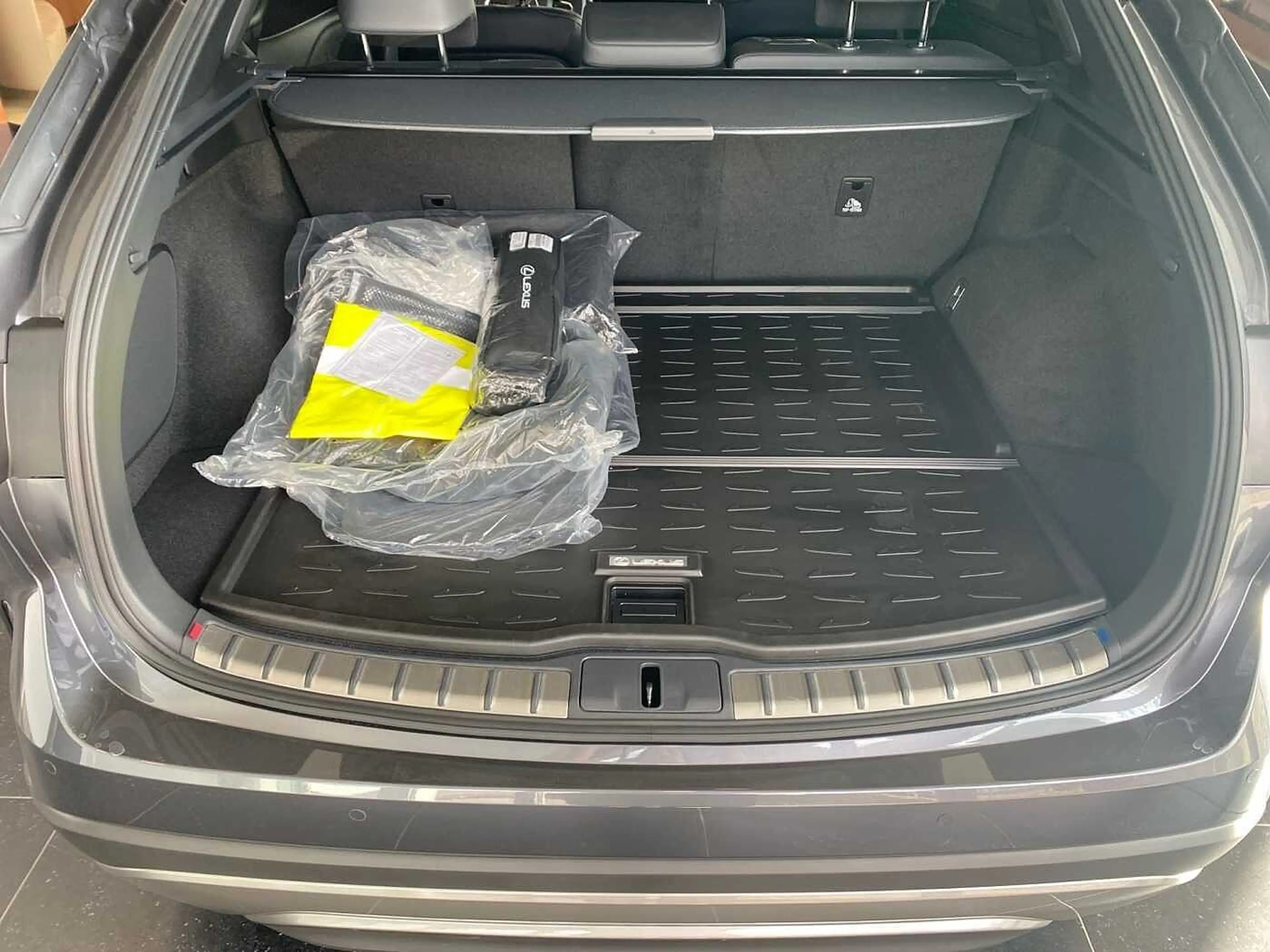 Lexus RX 450h + 2.5 Plug-In Luxury ML Pano — photo 10