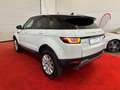 Land Rover Range Rover Evoque Evoque 2.0 td4 HSE Dynamic 150cv NEOPATENTATI Blanc - thumbnail 6