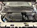 Land Rover Range Rover Evoque Evoque 2.0 td4 HSE Dynamic 150cv NEOPATENTATI Blanc - thumbnail 16