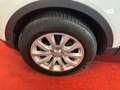 Land Rover Range Rover Evoque Evoque 2.0 td4 HSE Dynamic 150cv NEOPATENTATI Blanc - thumbnail 20