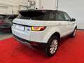 Land Rover Range Rover Evoque Evoque 2.0 td4 HSE Dynamic 150cv NEOPATENTATI Blanc - thumbnail 4