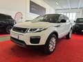 Land Rover Range Rover Evoque Evoque 2.0 td4 HSE Dynamic 150cv NEOPATENTATI Blanc - thumbnail 1