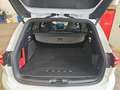 Ford Focus ST X Traveller 2.3 EBOOST 280 PS A8 FWD Weiß - thumbnail 31