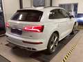 Audi Q5 55 TFSIe qua. S line B&O Matrix HUD 360° Navi Weiß - thumbnail 5