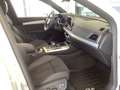 Audi Q5 55 TFSIe qua. S line B&O Matrix HUD 360° Navi Weiß - thumbnail 7