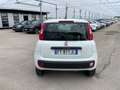 Fiat Panda 0.9 t.air t. natural power Easy 80cv my19 Blanco - thumbnail 5