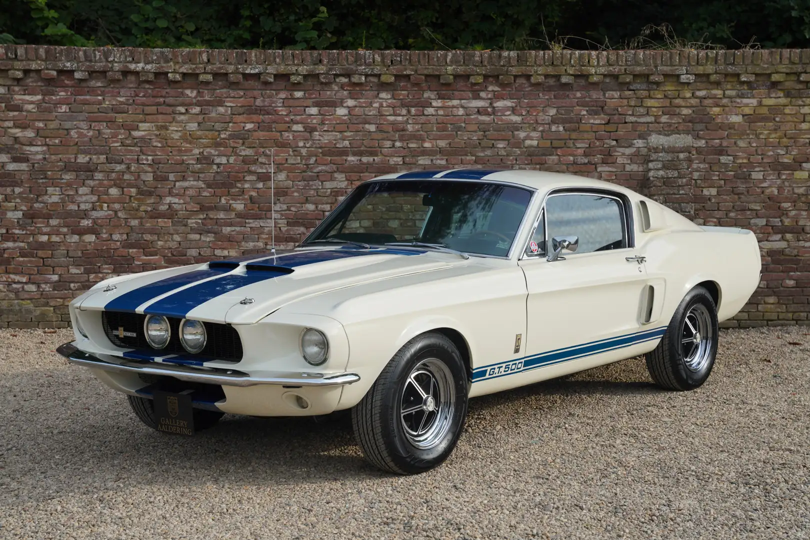 Ford Mustang Shelby GT-500 Fastback Restored condition, Early b Wit - 1