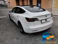 Tesla Model 3 STANDARD RANGE RWD UNICO PROPRIETARIO Grigio - thumbnail 6
