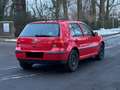 Volkswagen Golf IV 1.4 *Tüv neu* Rot - thumbnail 3