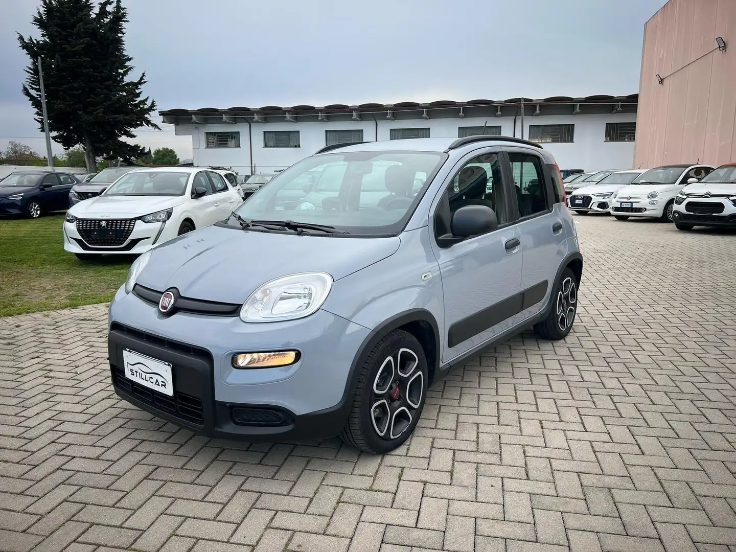 Fiat Panda Panda 1.0 firefly hybrid Grigio - 1