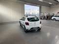 Dacia Sandero STEPWAY 1.0 TCE 100CV ECO-G 15TH  ANNIVERSARY Bianco - thumbnail 5