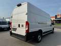 Fiat Ducato L4H3 KW 35 MAXI *Preis inkl. NoVA* (=CAMPER-Basis) Weiß - thumbnail 7