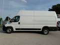 Fiat Ducato L4H3 KW 35 MAXI *Preis inkl. NoVA* (=CAMPER-Basis) Weiß - thumbnail 2