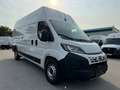 Fiat Ducato L4H3 KW 35 MAXI *Preis inkl. NoVA* (=CAMPER-Basis) Weiß - thumbnail 9