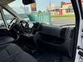 Fiat Ducato L4H3 KW 35 MAXI *Preis inkl. NoVA* (=CAMPER-Basis) Weiß - thumbnail 17