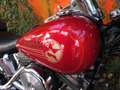 Harley-Davidson Softail Deutsches Modell Top Zustand Rot - thumbnail 3
