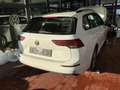 Volkswagen Golf Variant Life 1,0 TSI OPF 81 kW Weiß - thumbnail 3