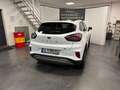 Ford Puma Titanium X B&O LED ACC CarPlay Kamera PDC Weiß - thumbnail 3
