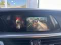 Alfa Romeo Stelvio 2.2 Turbodiesel 210 CV AT8 Q4 Super Blu/Azzurro - thumbnail 14
