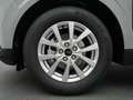 Ford Tourneo Courier Titanium 125PS/Winter-P. -9%* Grau - thumbnail 17