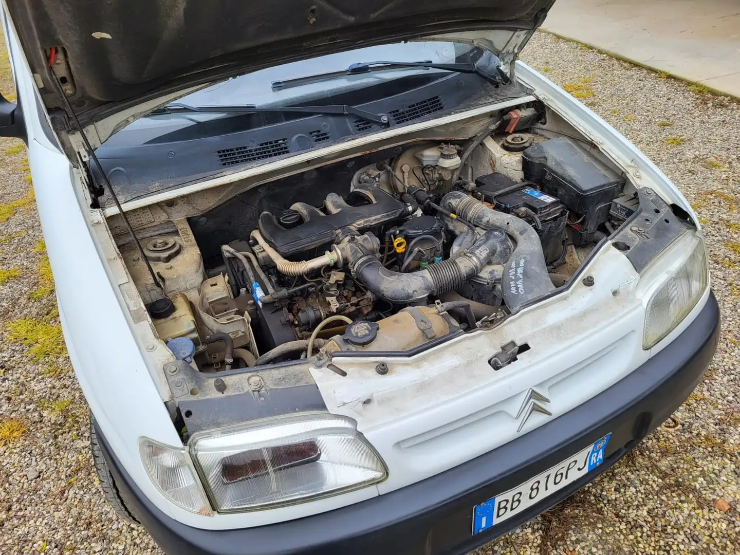 Citroen Berlingo Berlingo 1.9d Bianco - 2