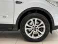 Ford Kuga 2.0 TDCI 150 CV Start&Stop Powershift 4WD Titanium Blanc - thumbnail 7