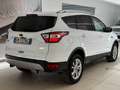 Ford Kuga 2.0 TDCI 150 CV Start&Stop Powershift 4WD Titanium Blanc - thumbnail 6