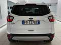 Ford Kuga 2.0 TDCI 150 CV Start&Stop Powershift 4WD Titanium Blanc - thumbnail 5
