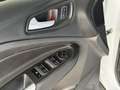 Ford Kuga 2.0 TDCI 150 CV Start&Stop Powershift 4WD Titanium Blanc - thumbnail 19