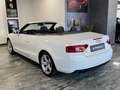Audi A5 CABRIO 2.0 TDI 177 CV AUTOMATICA Bianco - thumbnail 6