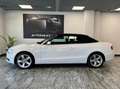 Audi A5 CABRIO 2.0 TDI 177 CV AUTOMATICA Bianco - thumbnail 11