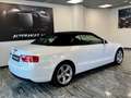 Audi A5 CABRIO 2.0 TDI 177 CV AUTOMATICA Bianco - thumbnail 13