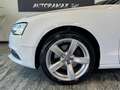 Audi A5 CABRIO 2.0 TDI 177 CV AUTOMATICA Bianco - thumbnail 7