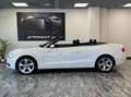 Audi A5 CABRIO 2.0 TDI 177 CV AUTOMATICA Bianco - thumbnail 8