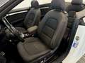 Audi A5 CABRIO 2.0 TDI 177 CV AUTOMATICA Bianco - thumbnail 16