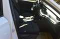 Skoda Octavia Combi 2,0 TDI+NAVI+LED+SHZ+TEL Weiß - thumbnail 9