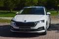 Skoda Octavia Combi 2,0 TDI+NAVI+LED+SHZ+TEL Weiß - thumbnail 4