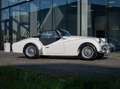 Triumph TR3 A  Fully restored ! Alb - thumbnail 3