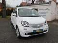 smart forFour Allwetter!! Navi!! Temp.!! SHZ.!! PDC!! TOP! Weiß - thumbnail 1