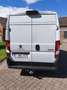 Peugeot Boxer 2.2 BlueHDi L4 Utility Light Hay.(EU6.4) Bílá - thumbnail 3