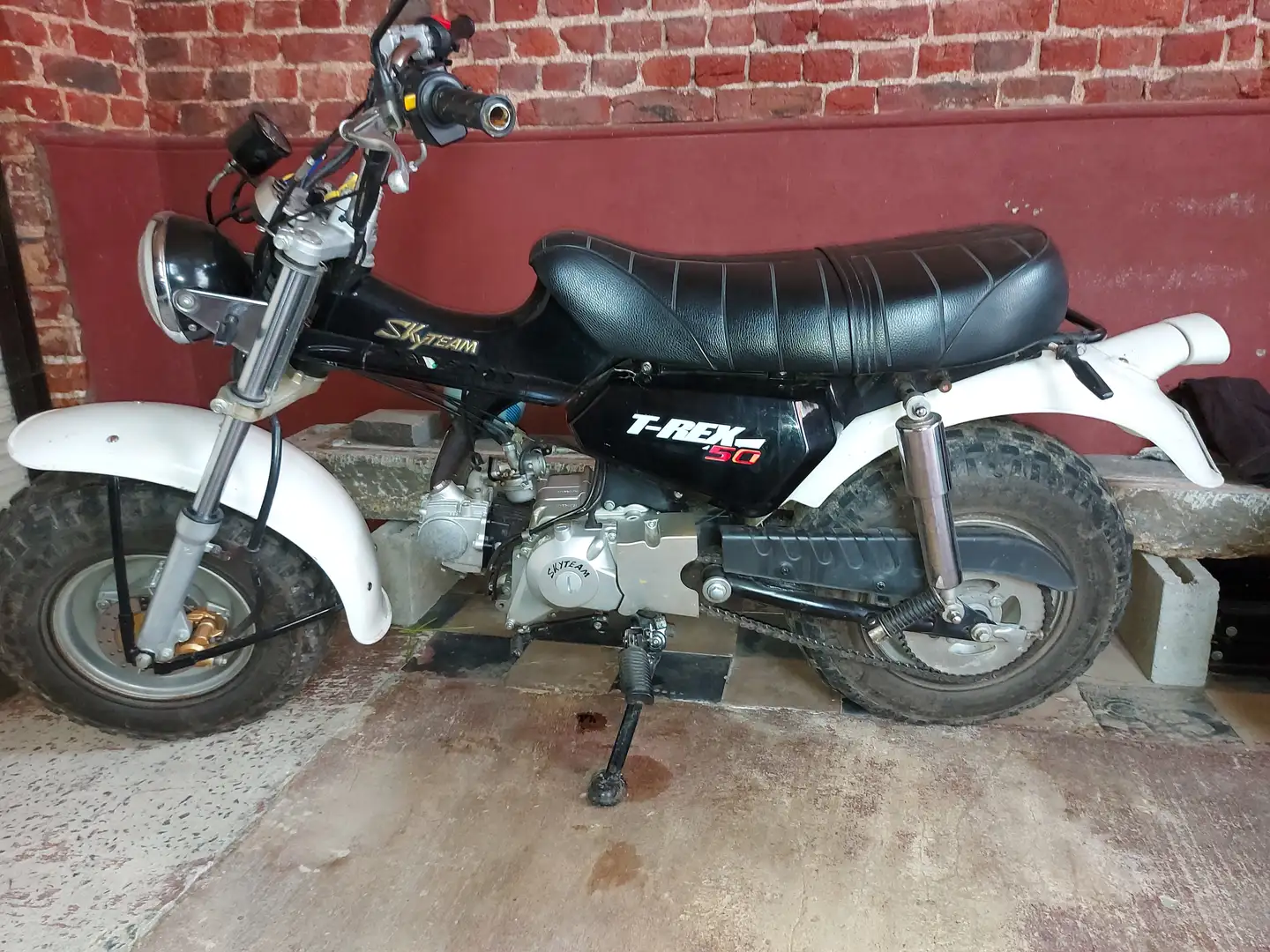 Skyteam T-Rex 50cc - 1