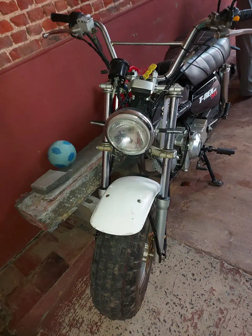 Skyteam T-Rex 50cc - 2