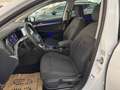 Volkswagen Golf Variant Golf 8 Variant 2,0TDI DSG *LED*NAVI*ACC*Sitzhei... Bianco - thumbnail 12