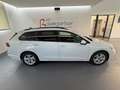 Volkswagen Golf Variant Golf 8 Variant 2,0TDI DSG *LED*NAVI*ACC*Sitzhei... Bianco - thumbnail 3